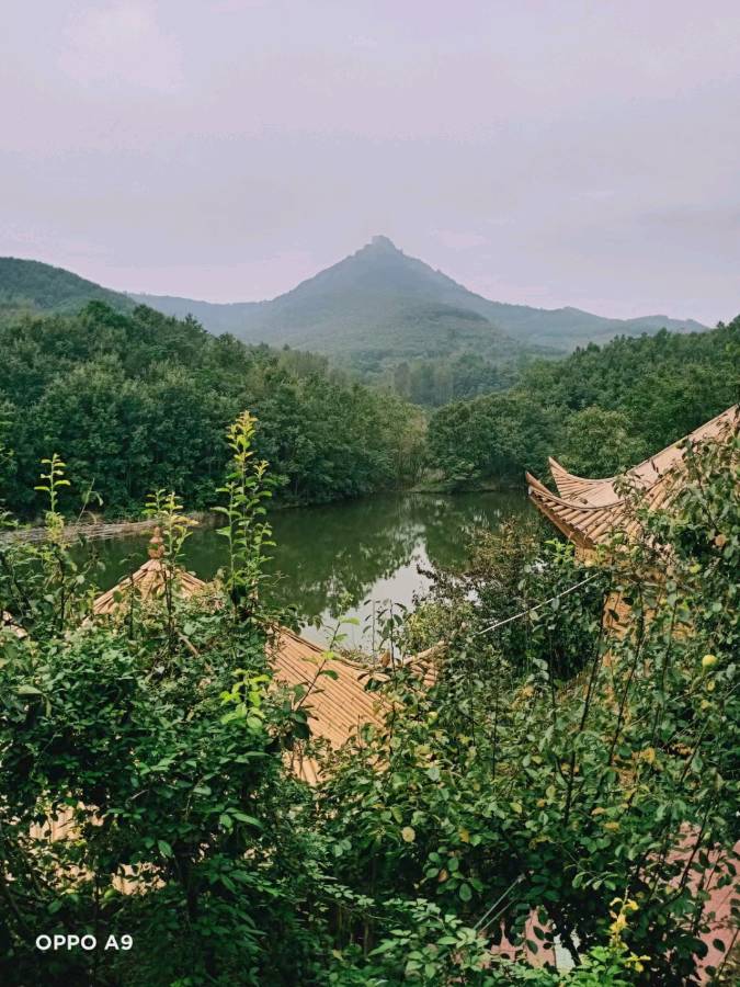 网大校长张万立：《龙凤山美景颂》（图2）