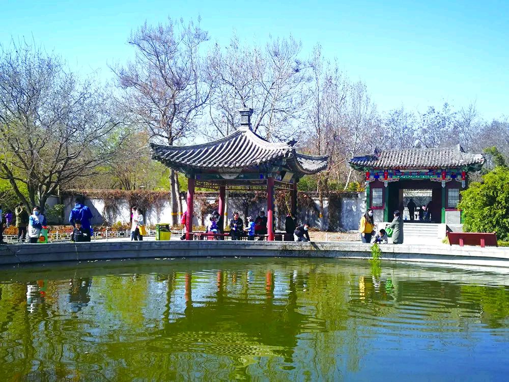 请您欣赏刘锁海老师诗词五首（图4）