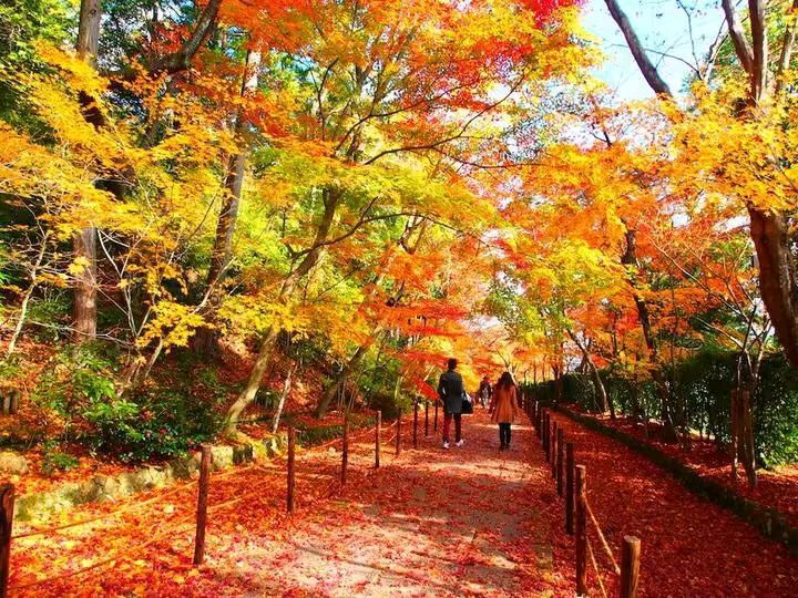 《守望秋天》作者/西北苍狼 主播/馨园小主 主编/胡琴(图6)