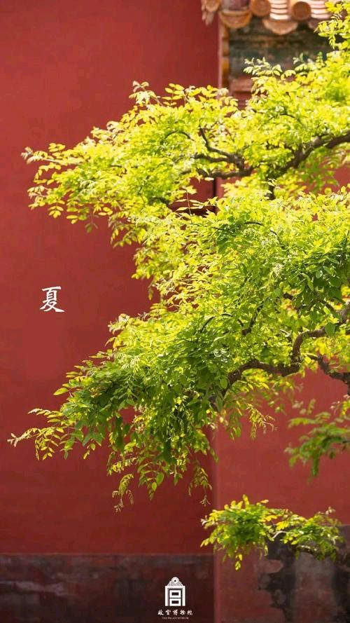 《四季轮回 岁月静好》作者:风儿‖主播:雪如玉【桃源国际诗歌集团】桃源♬ 馨声（图8）