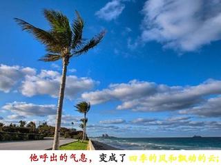 《风的翅膀》作者:东方【主播:丹桂】【桃源国际诗歌集团】徜徉诗的海洋，聆听天籁之声♥♬（图7）