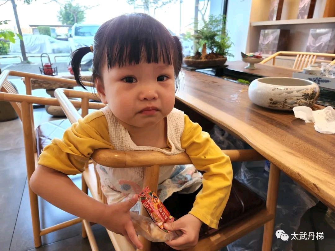 中秋的茶 '醉仙牛' /梧闽（图8）