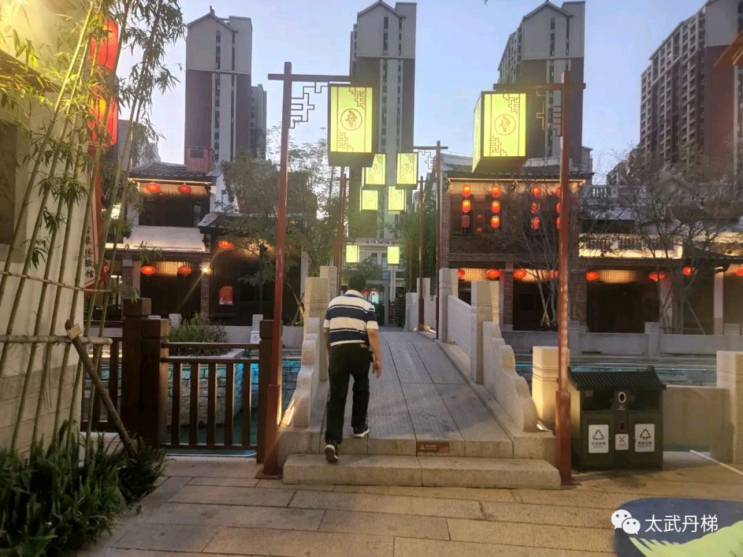 中秋的茶 '醉仙牛' /梧闽（图17）
