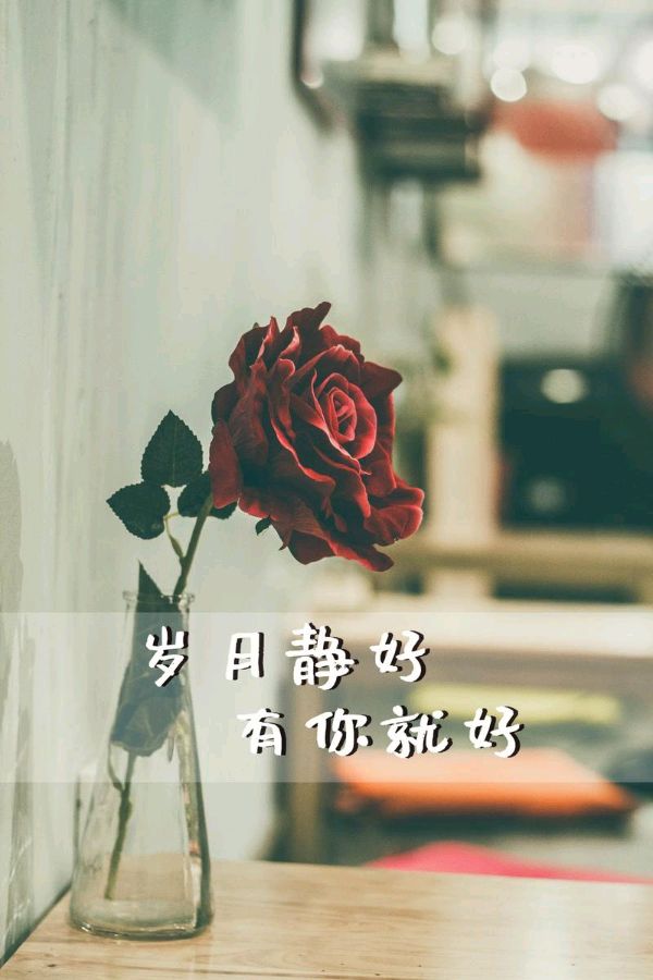 《时光请你慢点走》作者:风儿【主播:青苗】【桃源国际诗歌集团】用声音传递温暖以诵读致敬人生♥♬（图8）