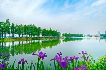 【中秋国庆专题】游太空//七绝•中秋快乐（图4）