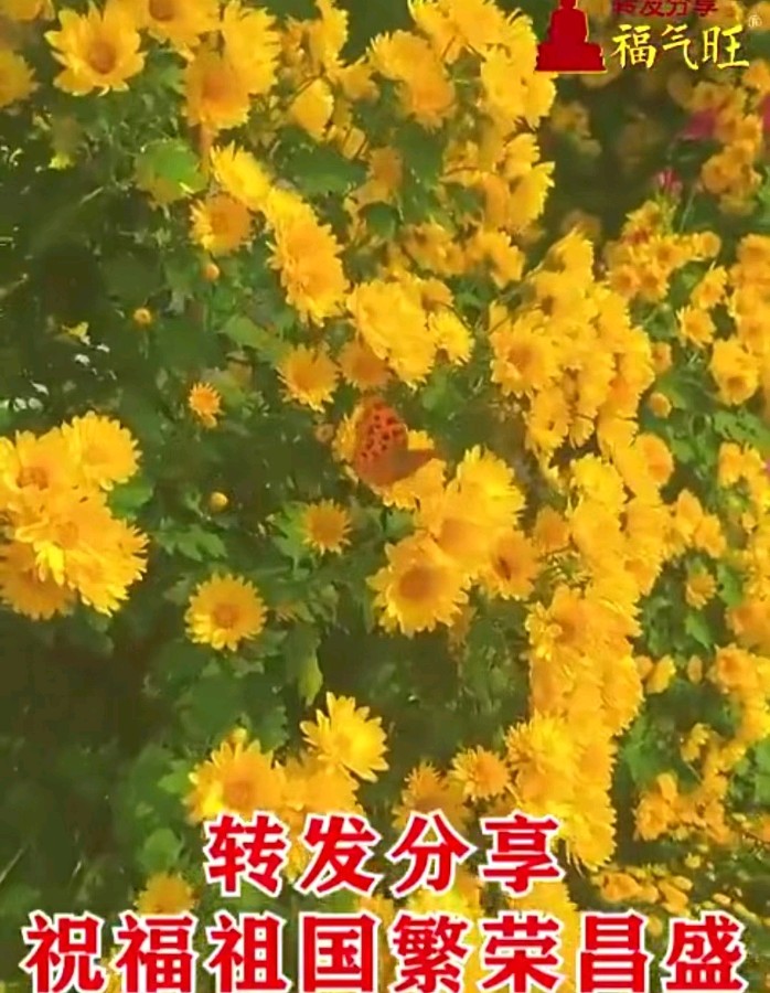 联机全球发布刘长荣作品欣赏（图7）