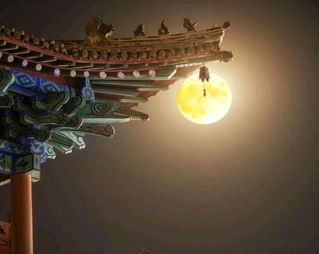 李雪梅（木棉）倾情诵读碑林路人的作品《在月光下，我为你读诗》（图4）