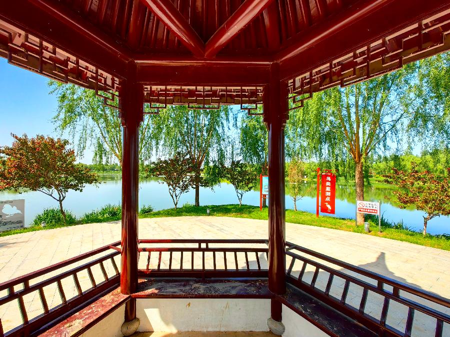 【新诗大观】诗意邢州湖||文/王兰英||诵/婉约(图2)