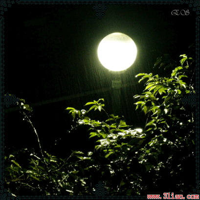 中秋夜雨（文/陈守邦）……莲叶之珠文学社