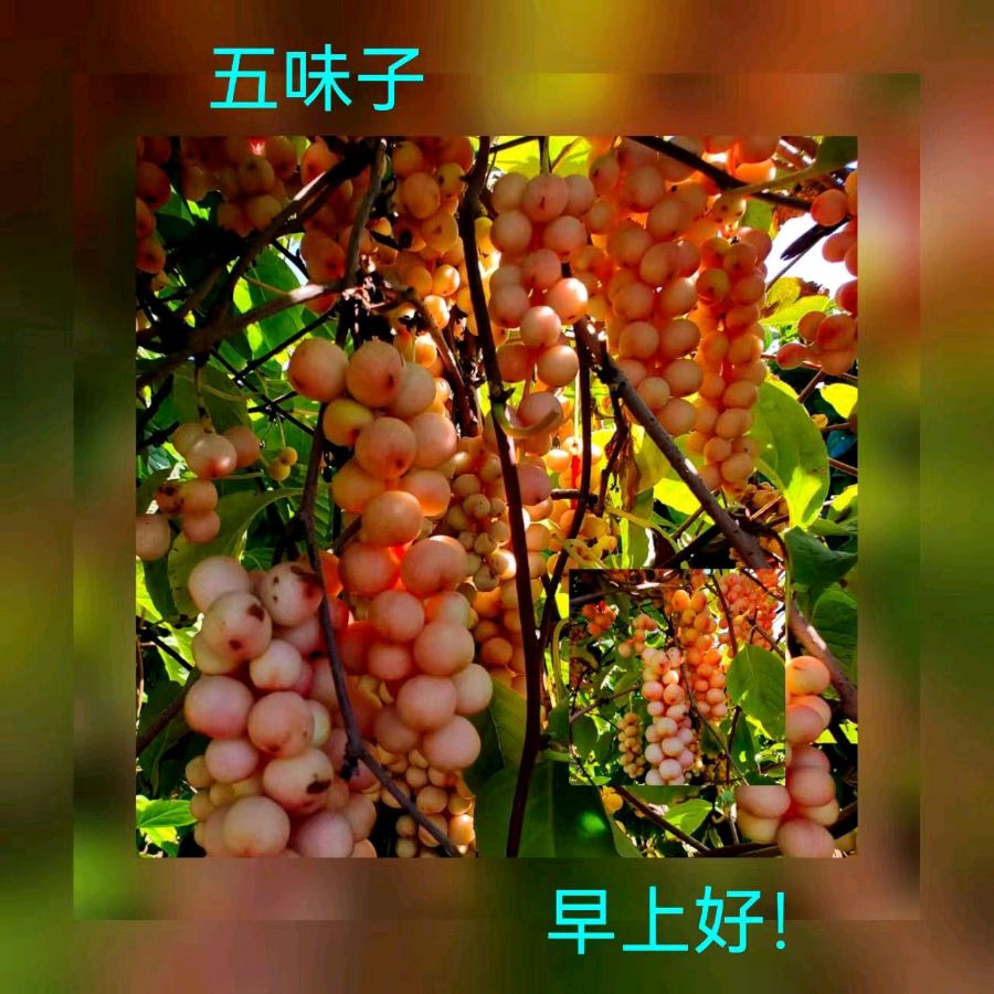 联机全球发布马洪武作品欣赏（图478）