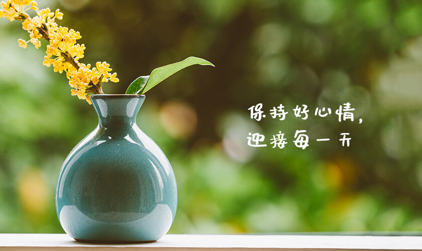 金子朗诵《金句》专集之三；收集：金华(李敬党)；编辑：开心快乐【运河之春】(第093期)（图6）