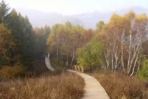 【新诗大观】秋思（诗五首）||文/李志亮||诵/文嘉（图4）