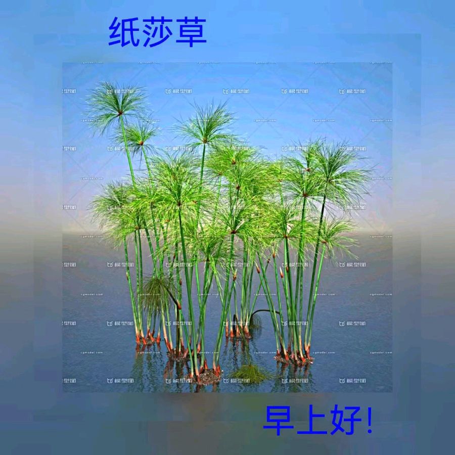 联机全球发布马洪武作品欣赏（图476）