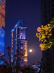 【七律·武汉中秋月夜】文/何霖生（图3）
