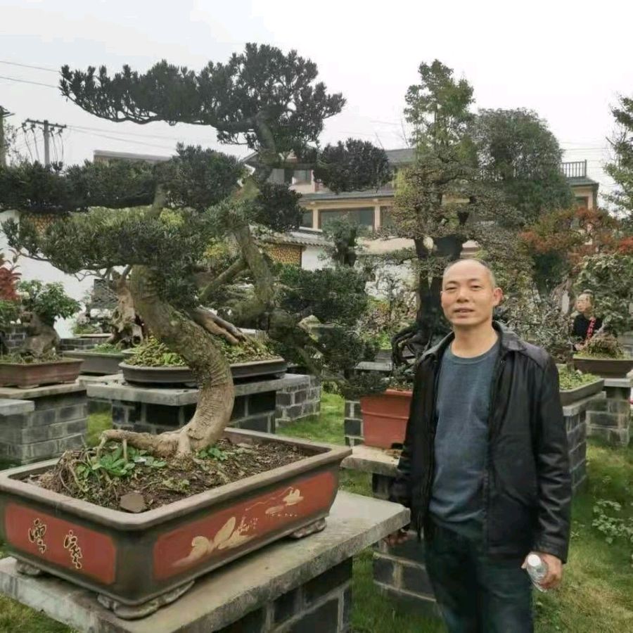 【诗词鉴赏】颂国庆 作者/曹长海（图6）