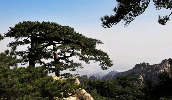 联机全球发布刘同芳作品欣赏（图4）