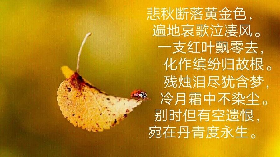 【悲秋抒怀】“农民诗人”曹南强//思亲｛外二十五首｝（图4）