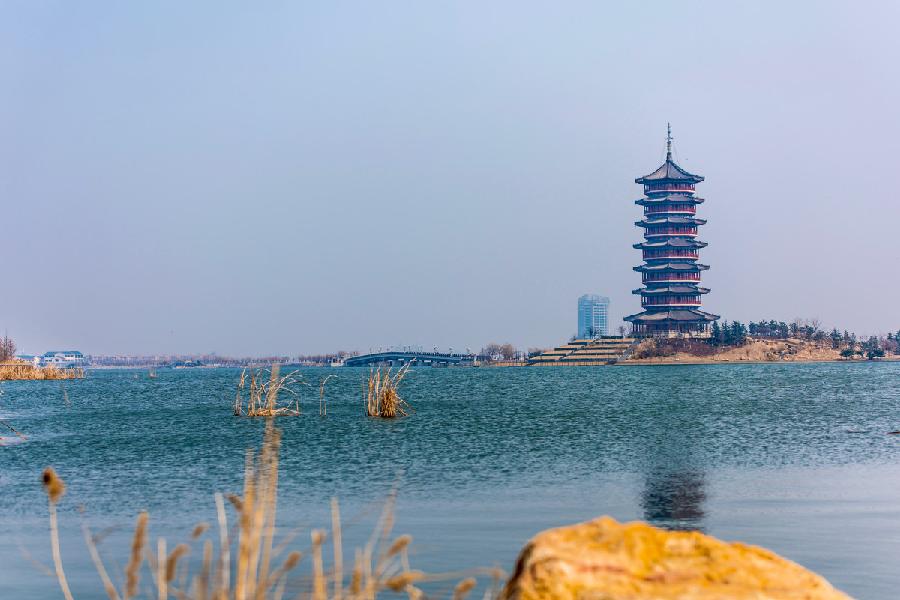少海赋(文/孙述考)……莲叶之珠文学社(图4)