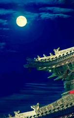 《明月照故乡》作者:褚向平【主播:涛声依旧】【桃源国际诗歌集团】用声音传递温暖以诵读致敬人生♬（图7）