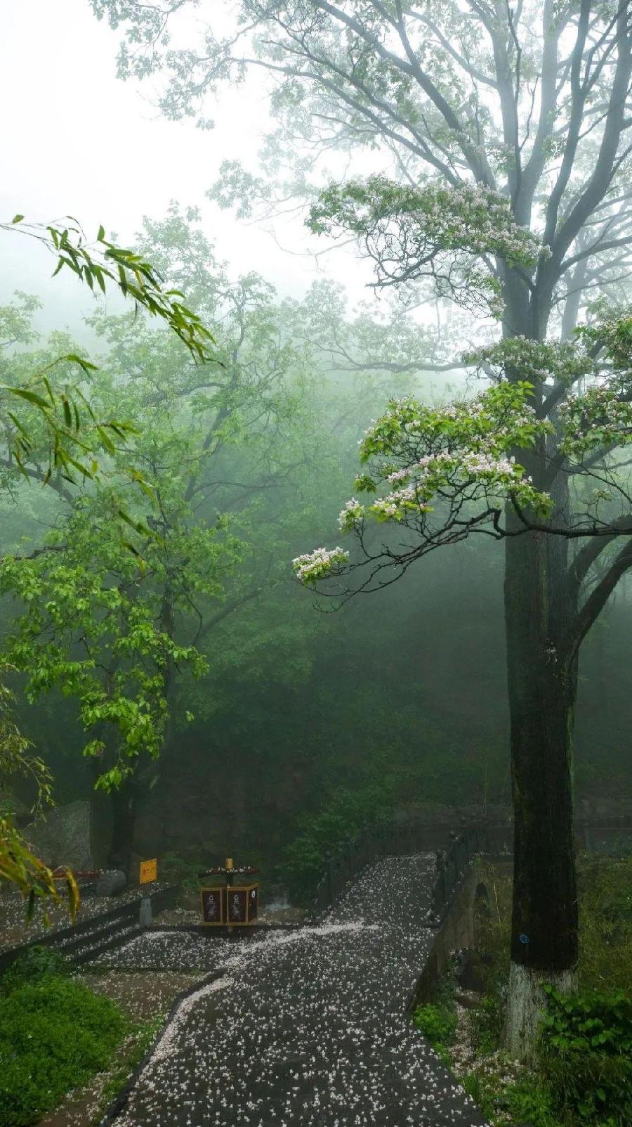 七律-雨落深秋～诗||杨景儒（图13）