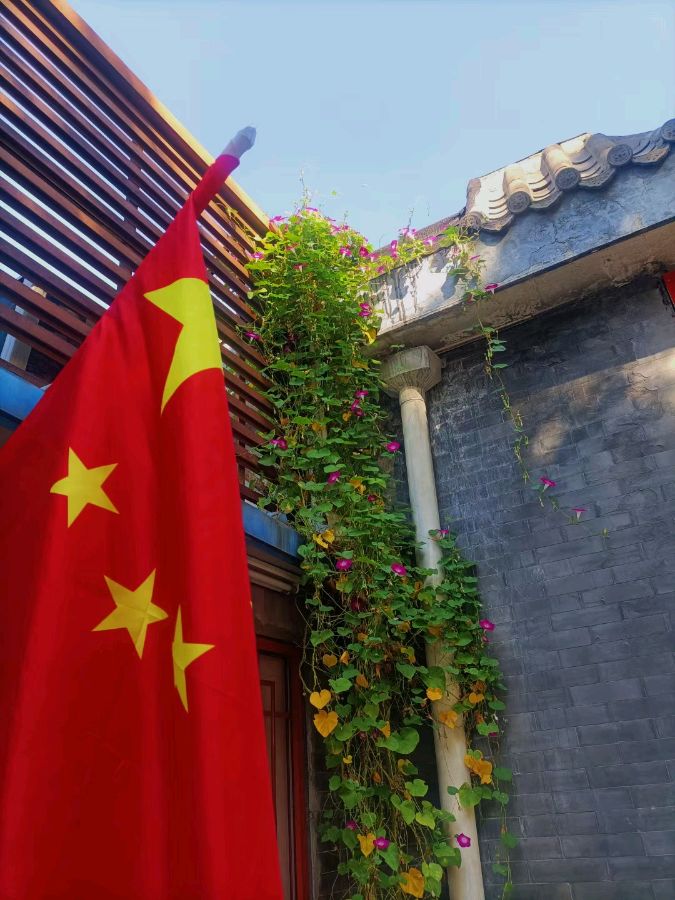 崇淑珍朗诵【国旗】作者/任定安（图5）