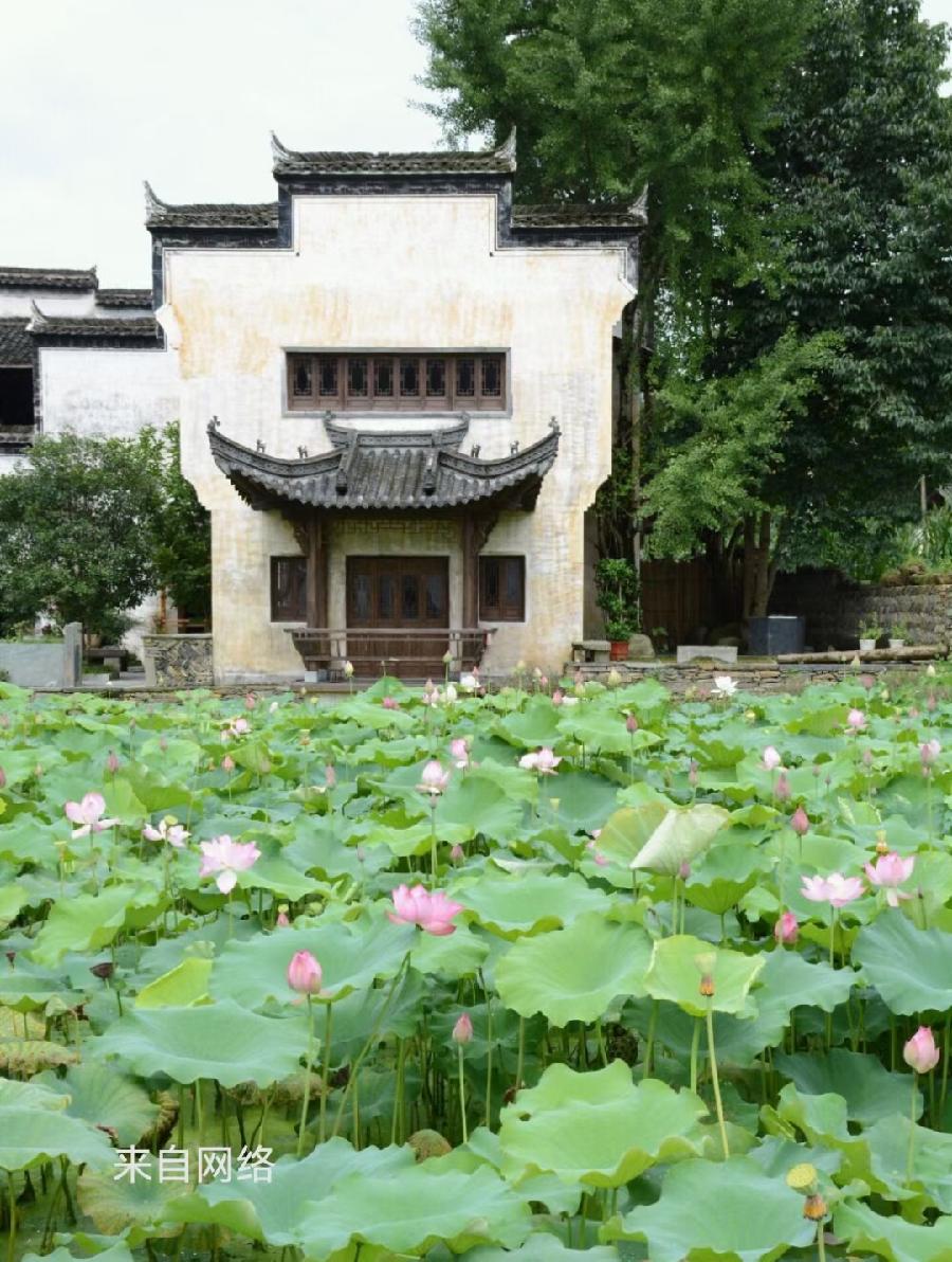 ［石岩磊］文游天下（883）婺源思溪延村……莲叶之珠文学社（图9）