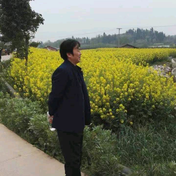【新山东文学社】《亚运会在杭州二章(外一首)》作者/渐倪(图7)