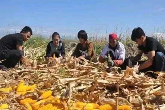 《七绝～假日观感》文／卫水居士 河北（图2）