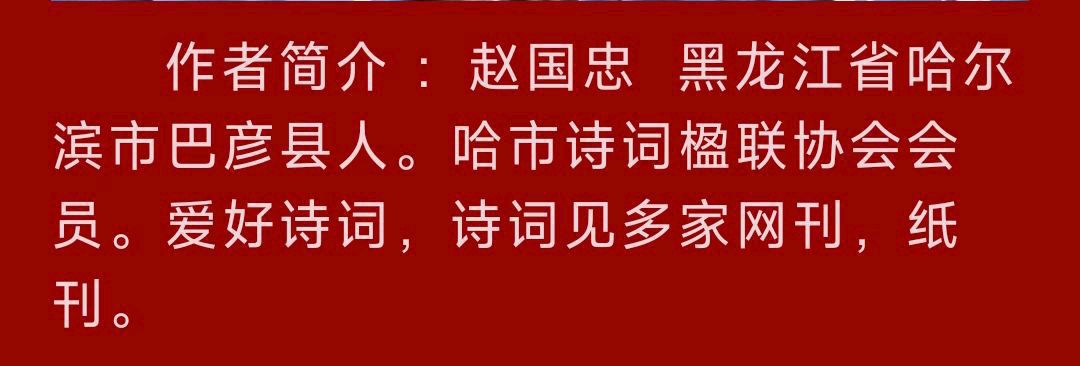 中华诗艺黑龙江分社微刊第222期(图37)