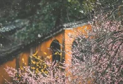 《江南诗絮文化中心》0801期-林金尧诗选(图7)