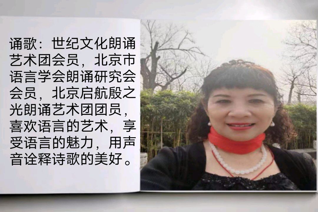 《沁园春.再聚是何年》作者/庆福 主播/诵歌 主编/胡琴（图4）