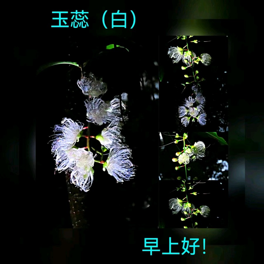 联机全球发布马洪武作品欣赏（图470）