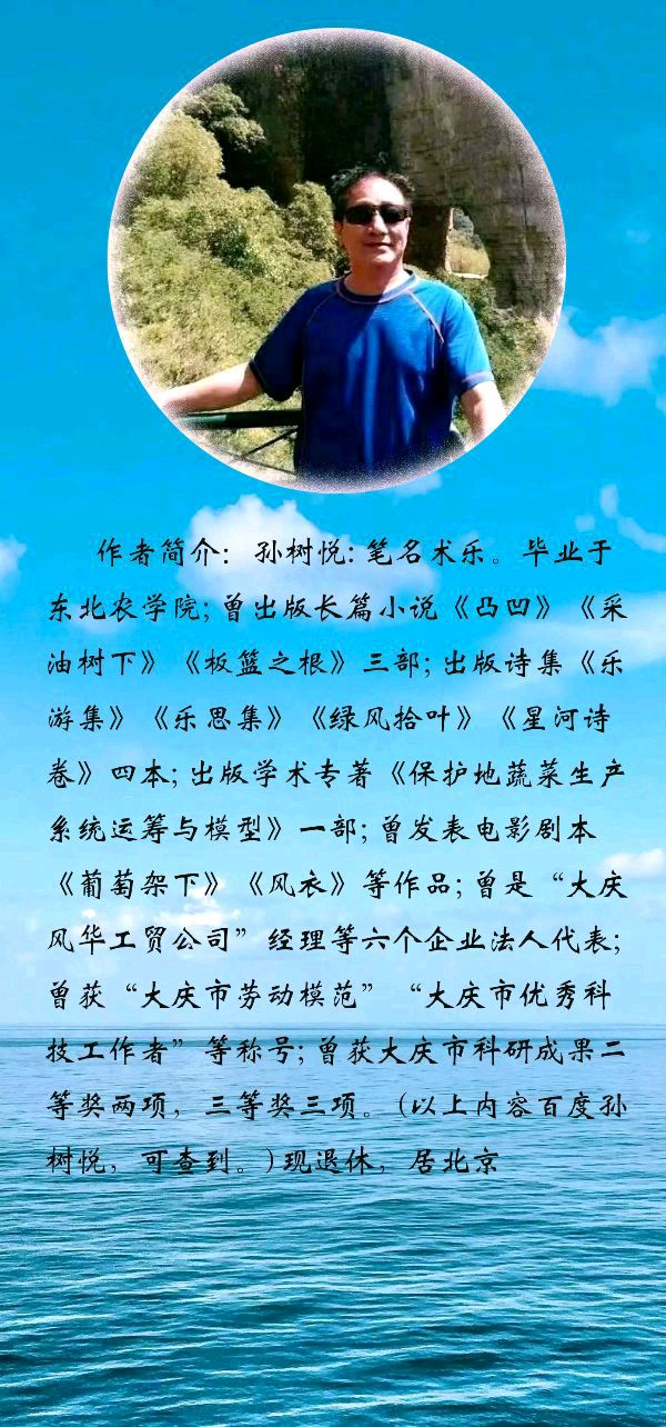 中华诗艺黑龙江分社微刊第223期(图25)