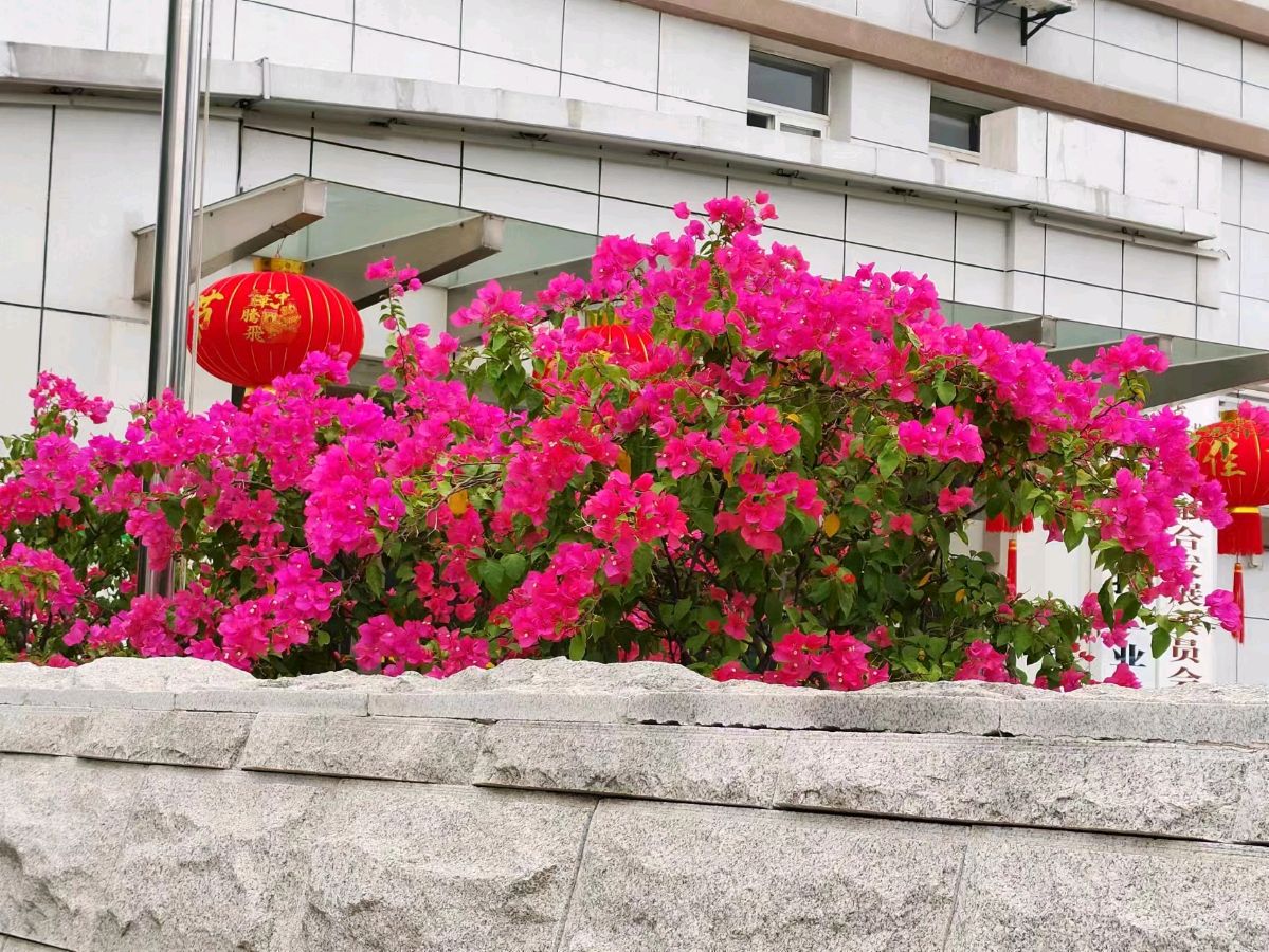联机全球发布曾凡华作品欣赏（图8）