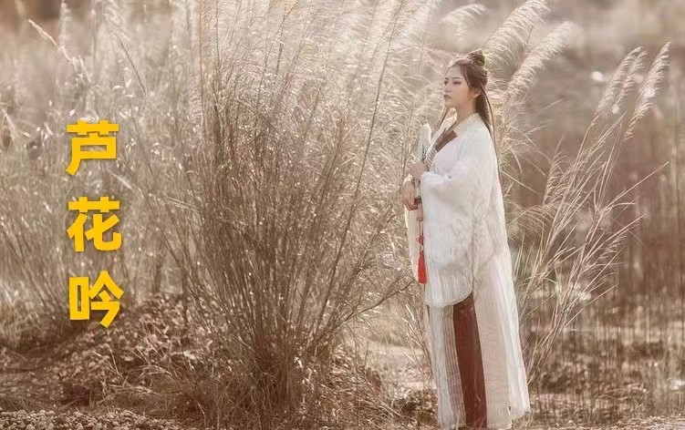 韩庚的《芦花吟》