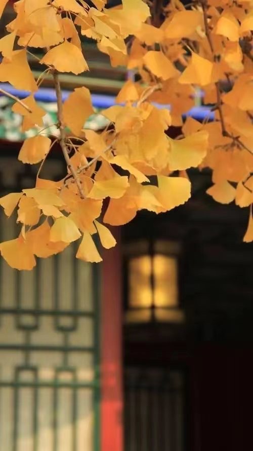 武昌区南湖老年大学文学鉴赏班师生诗作-白露专辑-第四辑 京津沪头条（图4）
