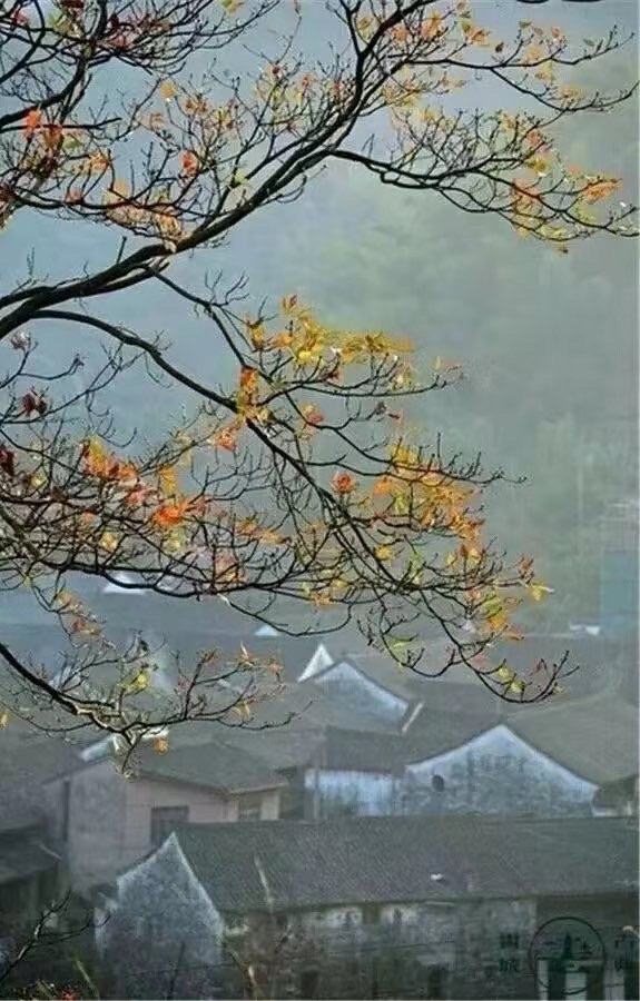 花开花谢又一春（散文诗）文/赵正霞（青海）京津沪头条（图2）