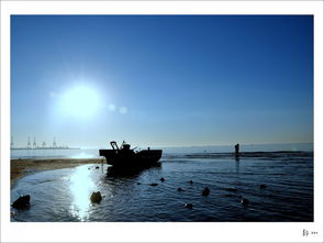 听涛（外一首）文/林水火（福建）（图2）