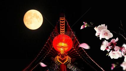 《月圆中秋夜·秋》作者:张日新【主播:丹桂】【桃源国际诗歌集团】用声音传递温暖以诵读致敬人生♬（图7）