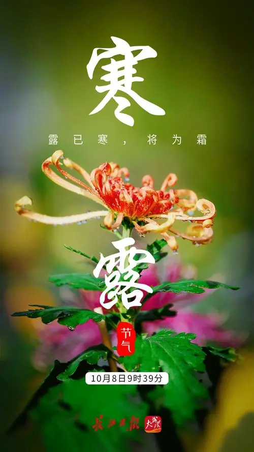 《七律 · 寒露至》诗人/柳鸣（图2）