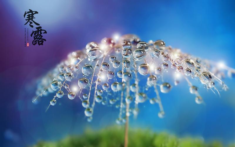【新诗大观】寒露||文/花惜柔（图2）