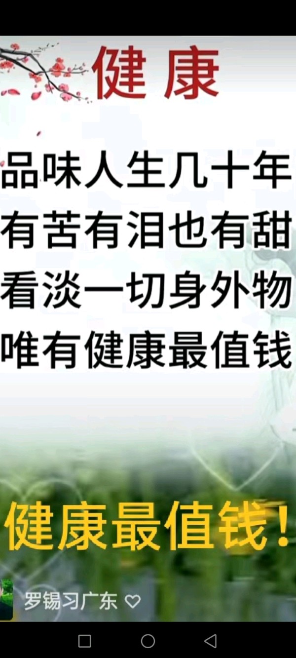 【新编辑刀郎新歌～罗氏家族诗词散文平台个人诗词集～走向万里长城披锦绣】作者/罗定友～（广东）原唱/罗林刀郎｛专辑弹词话本～《瓜洲渡》｝（图4）