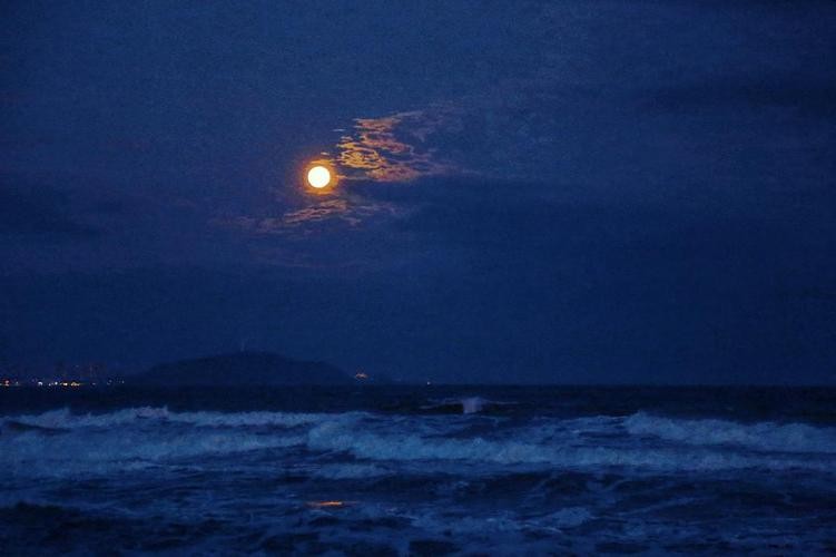 【重磅推出】昨夜天//一往情深 海底月是天上月（图7）