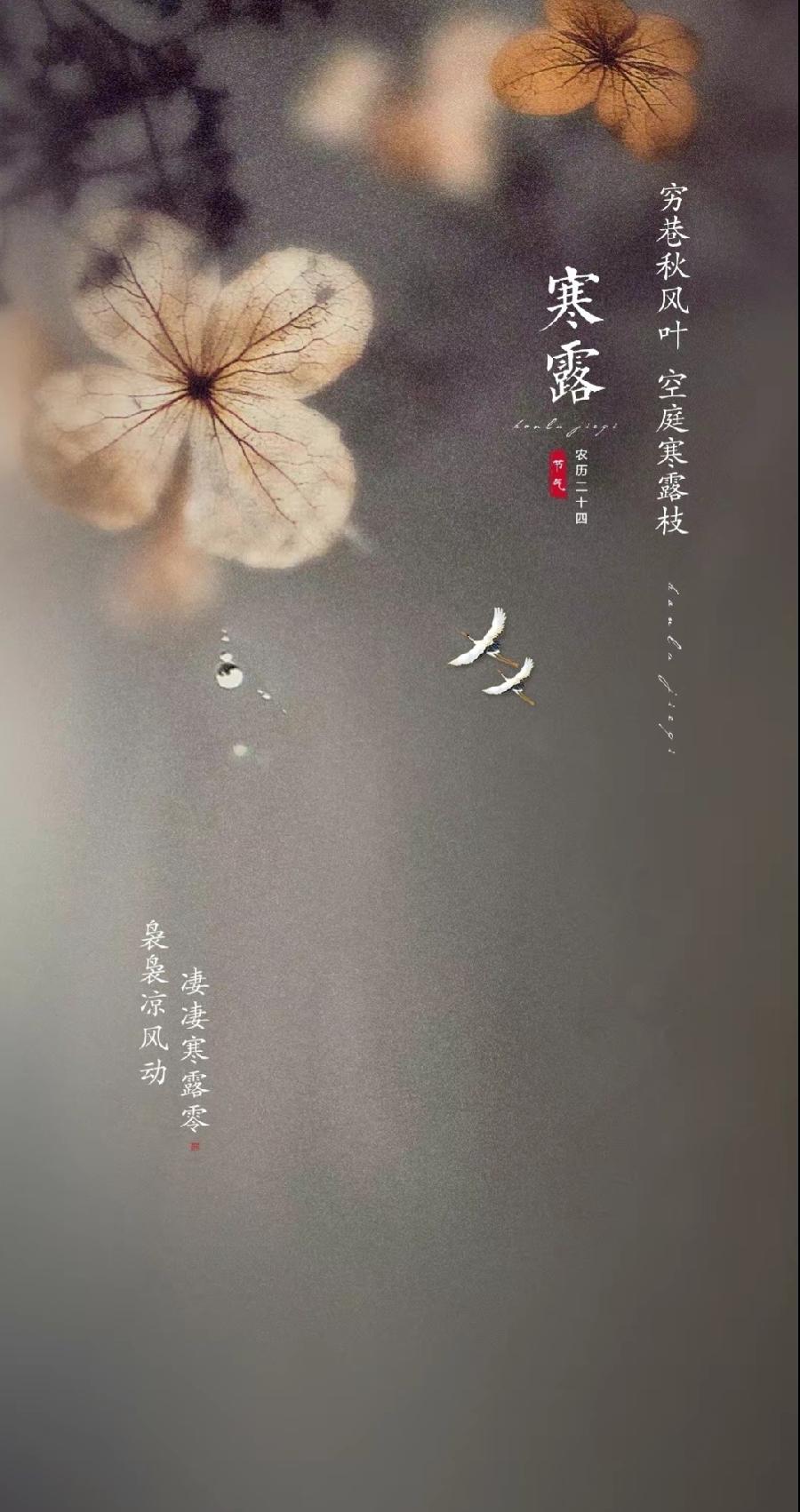 七律-寒露（组合）诗||于兴庆（图18）