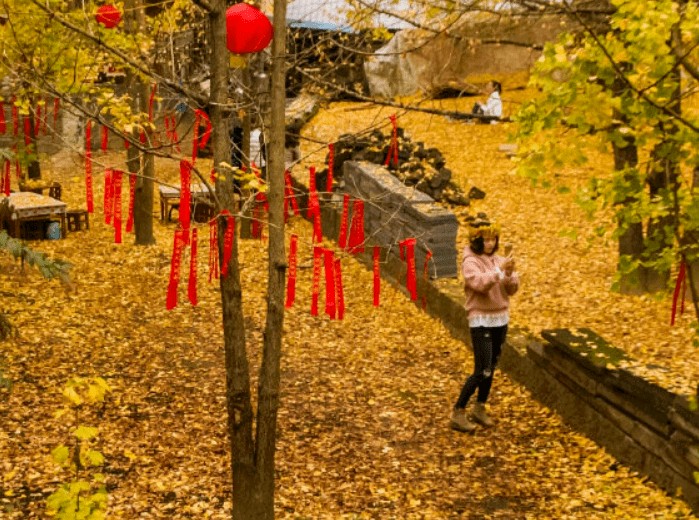 《清秋静美 你我皆安》作者/庆福 主播/孙铨 主编/胡琴（图2）