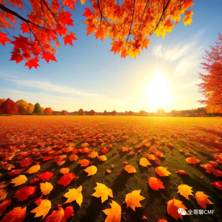 春之声朗诵【落叶🍂】作者/刘长军 视频制作/弘华（图10）