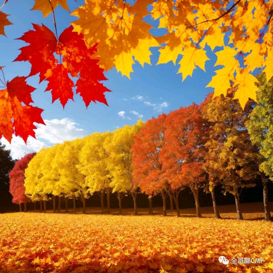 春之声朗诵【落叶🍂】作者/刘长军 视频制作/弘华（图11）