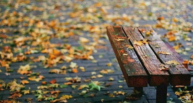 春之声朗诵【落叶🍂】作者/刘长军 视频制作/弘华（图8）