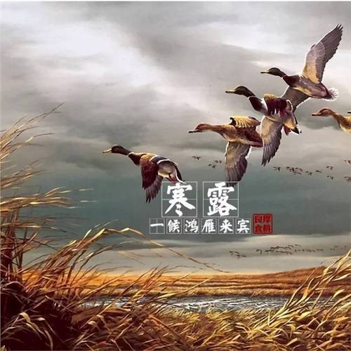 【重磅推出 军人风采】鲁坡//天助吾侪泰运长(战友:任杏其、周春政“吟诗颂“)(图11)