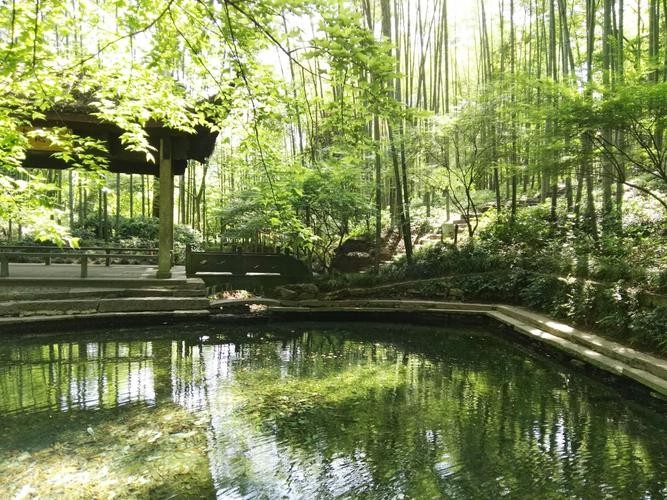 【经典推荐】张建国//小竹｛杭州西湖、小竹美景颂｝（图5）